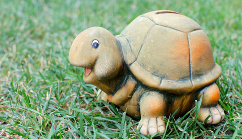 Tortoise